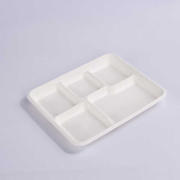 China 100% Compostable 5 Compartment 10*8 INCH Plates,Eco-Friendly  Disposable Bagasse Tray,Heavy Duty School Lunch Tray manufacturers and  suppliers