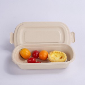 Biodegradable Natural Fiber Food Container Togo Box with Clear Lid 25ct  