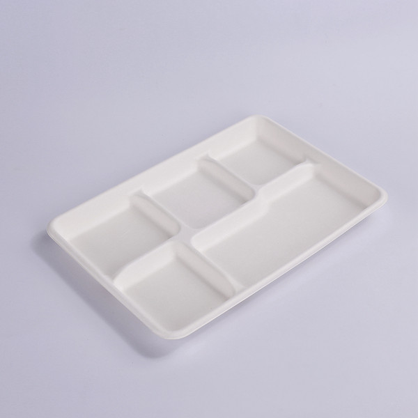 Disposable Rectangular Tray Plates 10" x 5" Compostable & Degradable 125 pcs 
